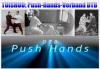 Tai Chi Chuan as a Martial Art: Tuishou / Push Hands - an integral approach