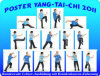 Tai Chi Poster Fotos DVDs: Jede Figur wird genau erklrt